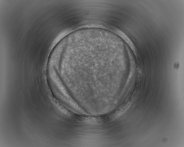 X0000094461002200712061219