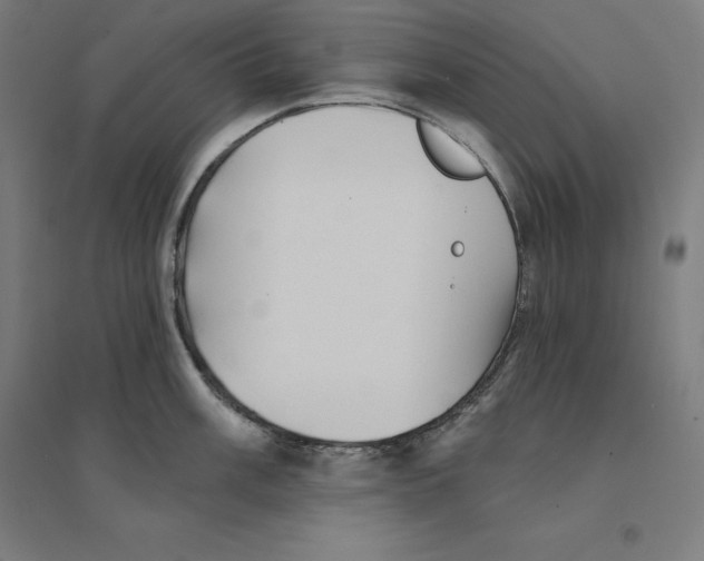 X0000094461003200712061219