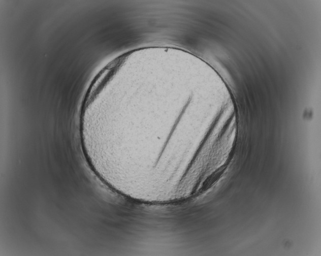 X0000094461004200712061219