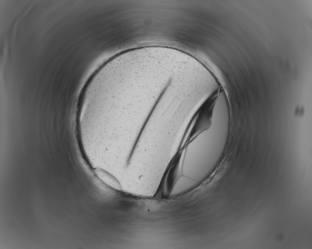 X0000094461005200712061219