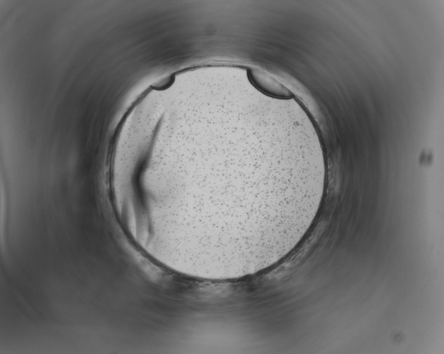 X0000094461006200712061219