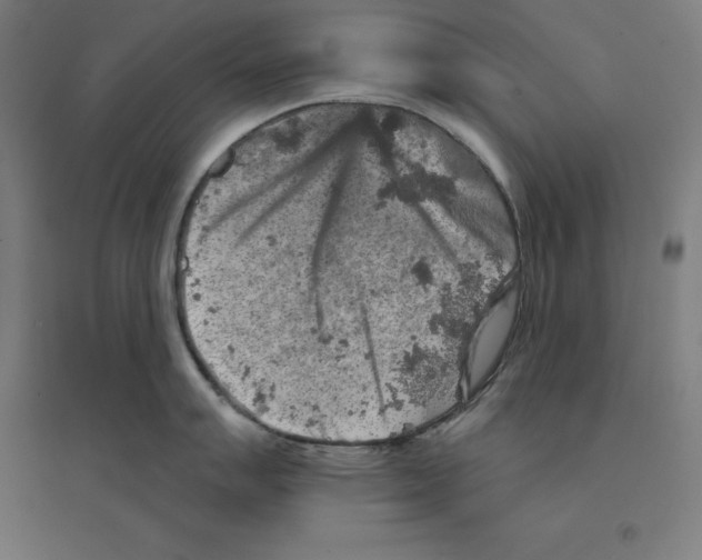 X0000094461007200712061219