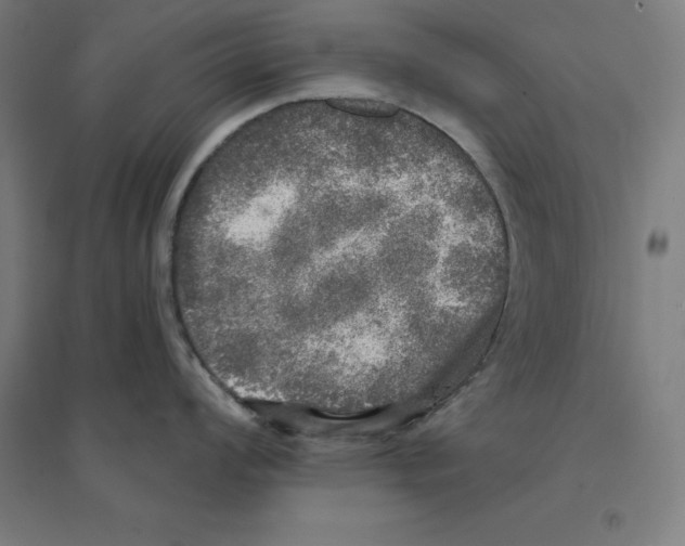 X0000094461008200712061219