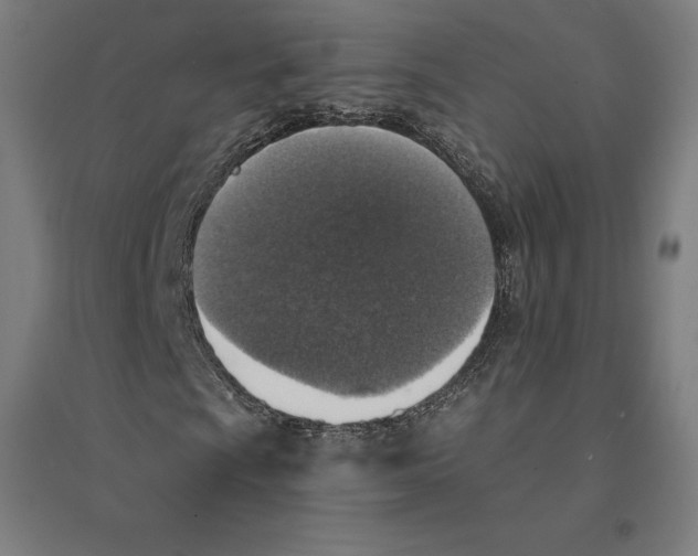 X0000094461009200712061218