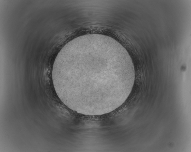 X0000094461010200712061218