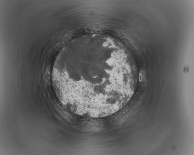 X0000094461011200712061218