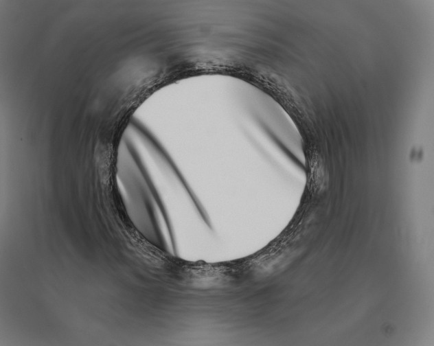 X0000094461012200712061218