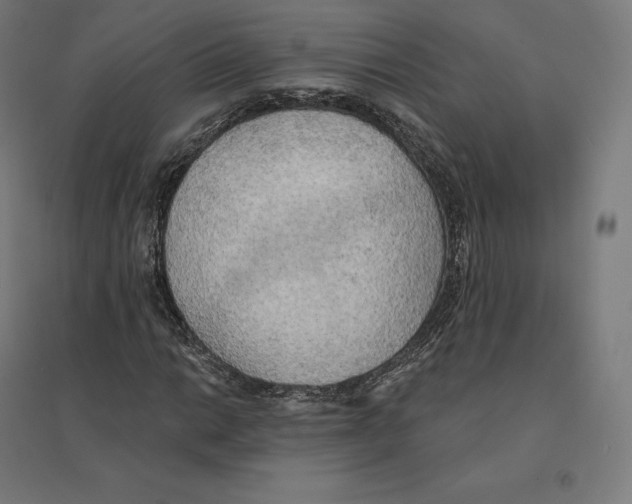 X0000094461014200712061218