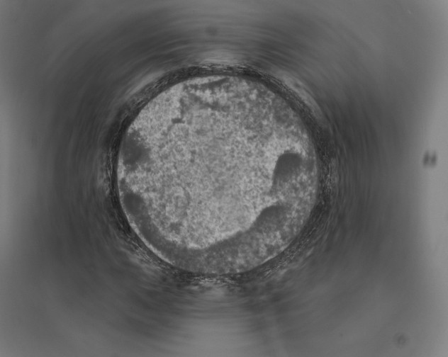 X0000094461015200712061218