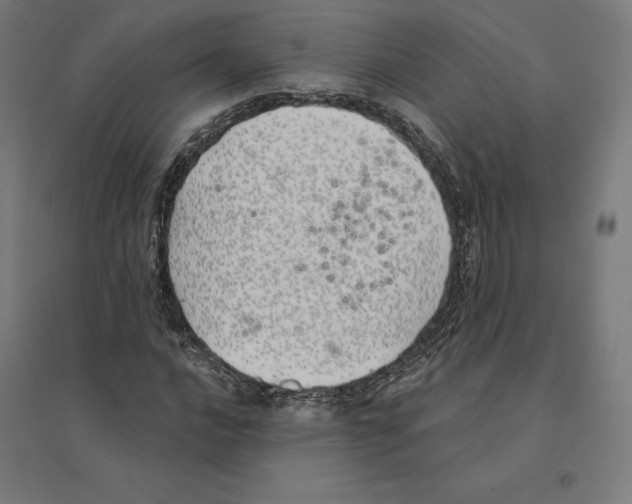 X0000094461016200712061218