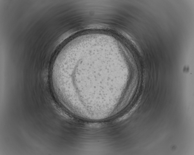 X0000094461017200712061218