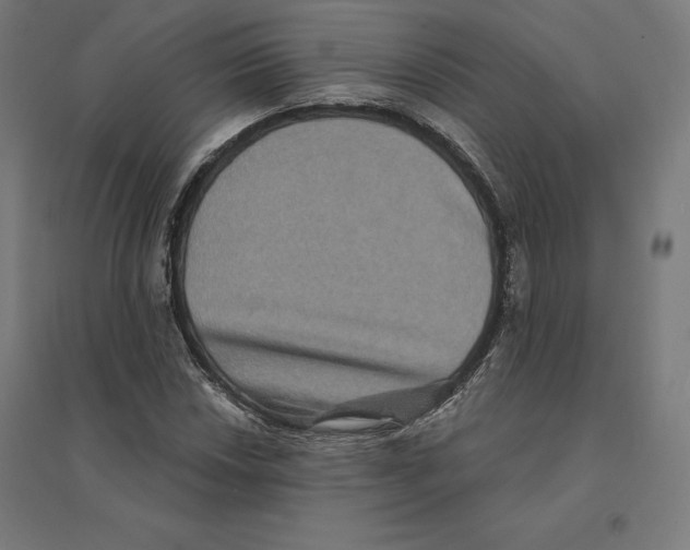 X0000094461018200712061219