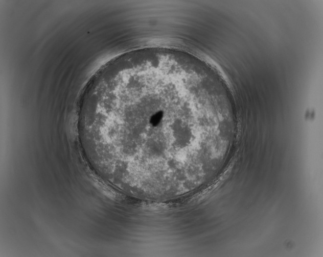 X0000094461019200712061219