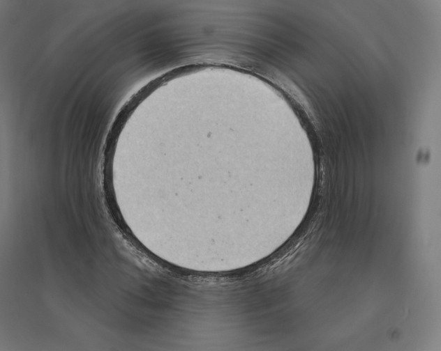 X0000094461020200712061219