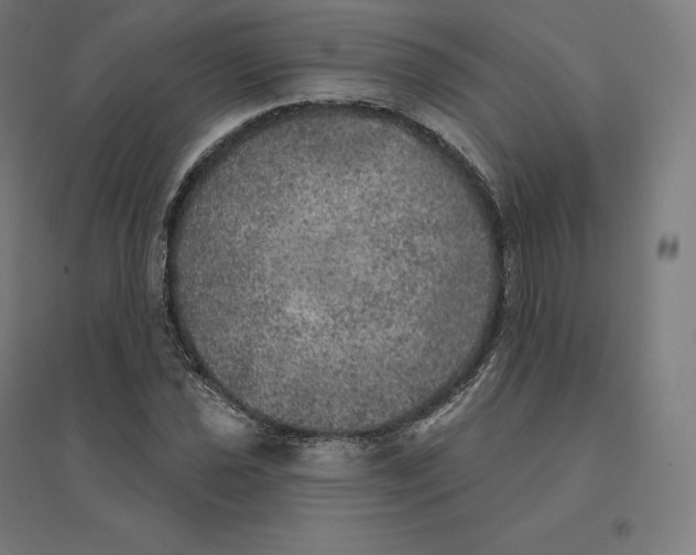 X0000094461021200712061219