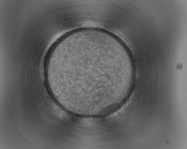 X0000094461022200712061219