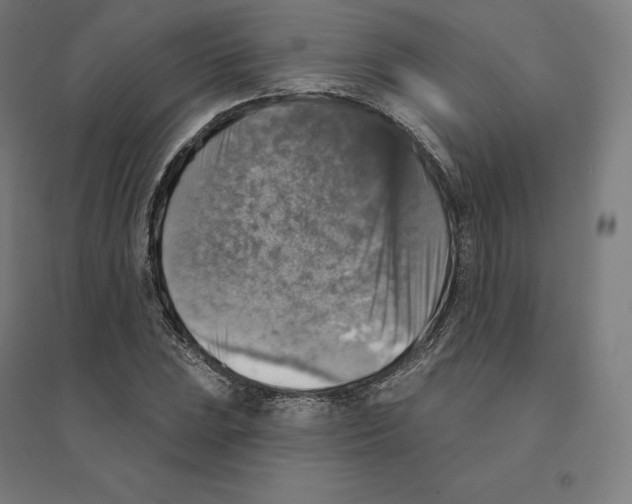 X0000094461023200712061219