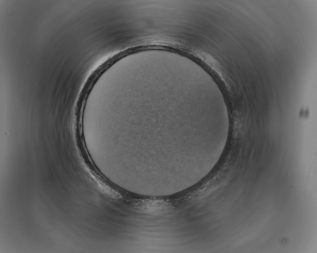 X0000094461024200712061219