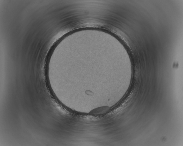 X0000094461026200712061219