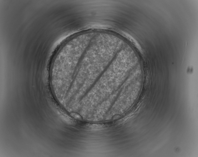 X0000094461027200712061219