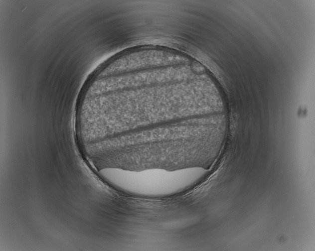 X0000094461028200712061219