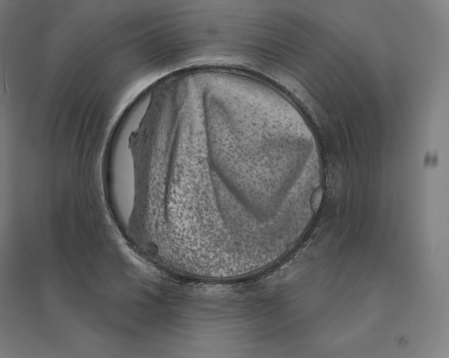 X0000094461030200712061219