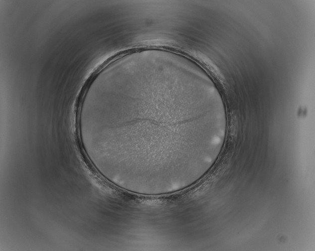 X0000094461031200712061219