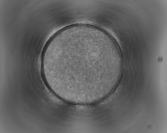 X0000094461032200712061219