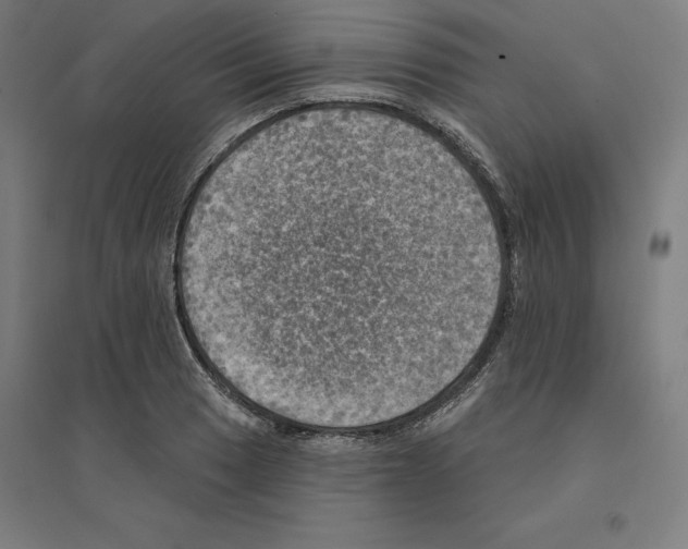 X0000094461033200712061219