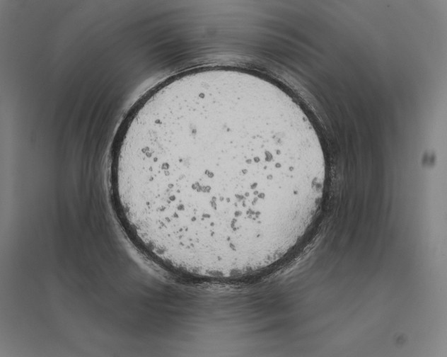 X0000094461034200712061219