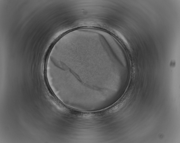 X0000094461035200712061219