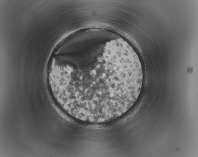 X0000094461037200712061219