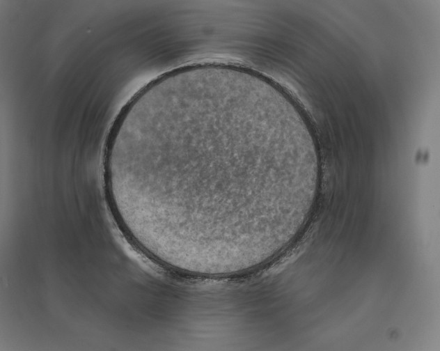 X0000094461038200712061219