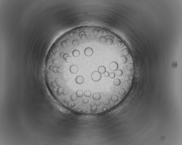 X0000094461040200712061219