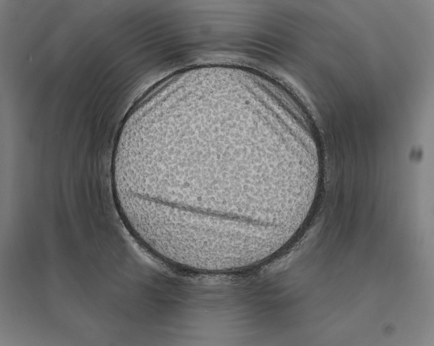 X0000094461041200712061219