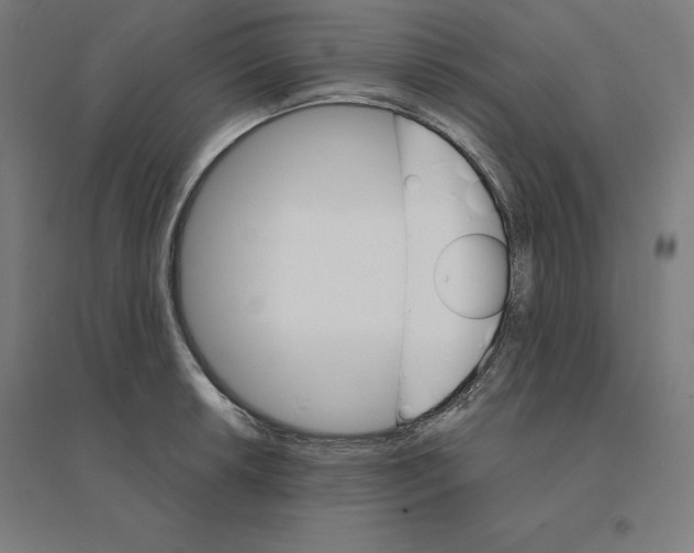 X0000094461042200712061219