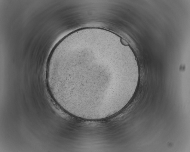 X0000094461044200712061219