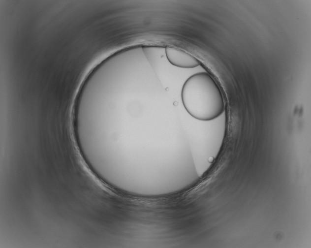 X0000094461045200712061219