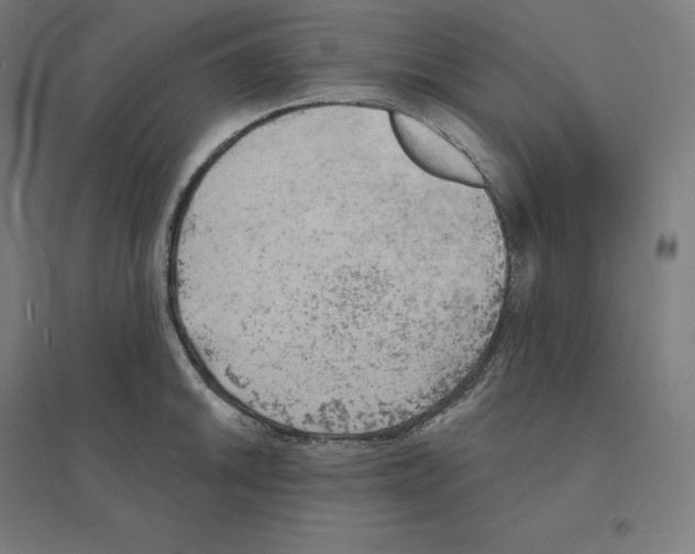 X0000094461046200712061219