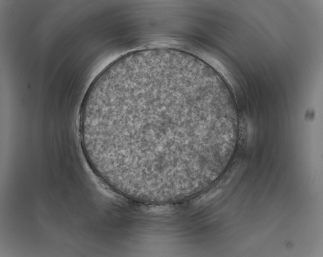 X0000094461047200712061219