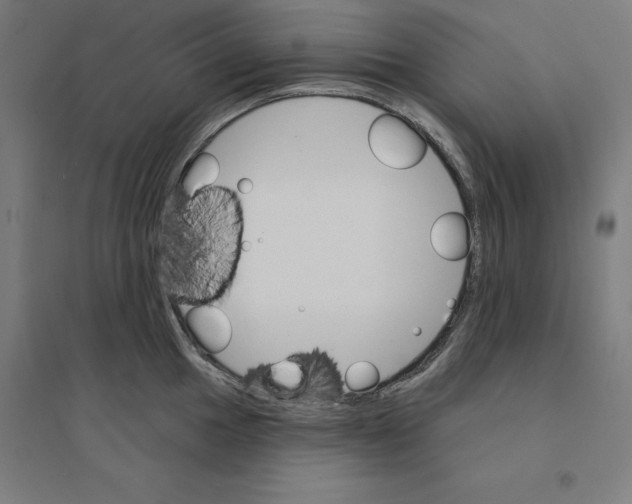 X0000094461049200712061219