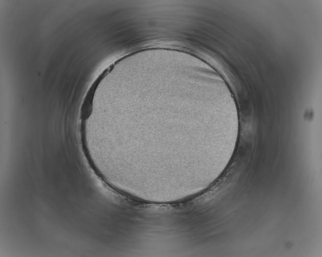 X0000094461050200712061219