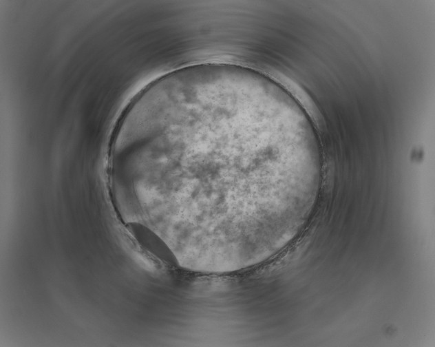 X0000094461051200712061219