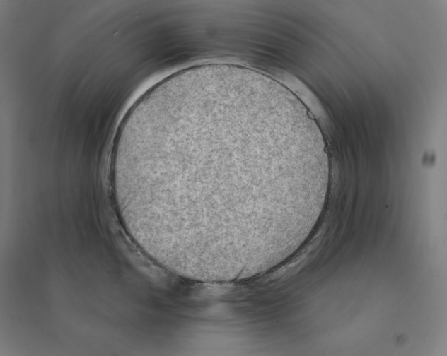 X0000094461052200712061219