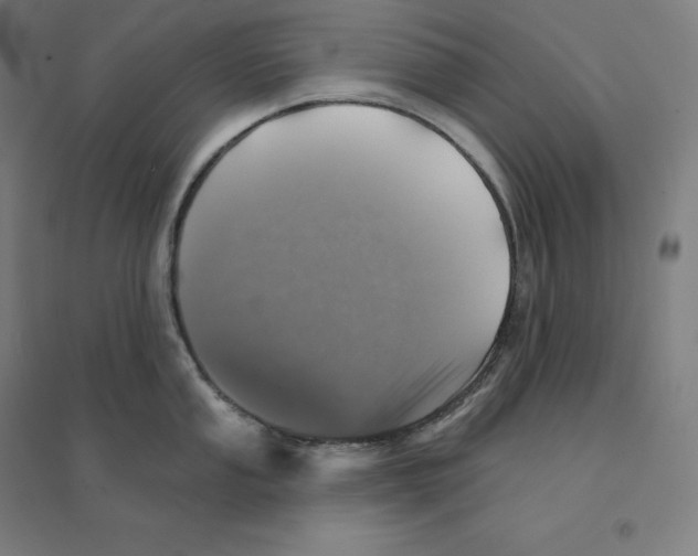 X0000094461053200712061219