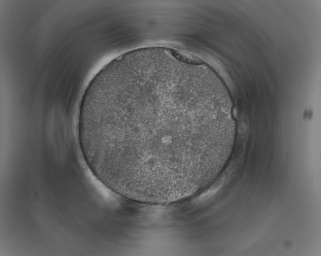 X0000094461054200712061219