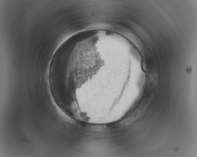 X0000094461055200712061219