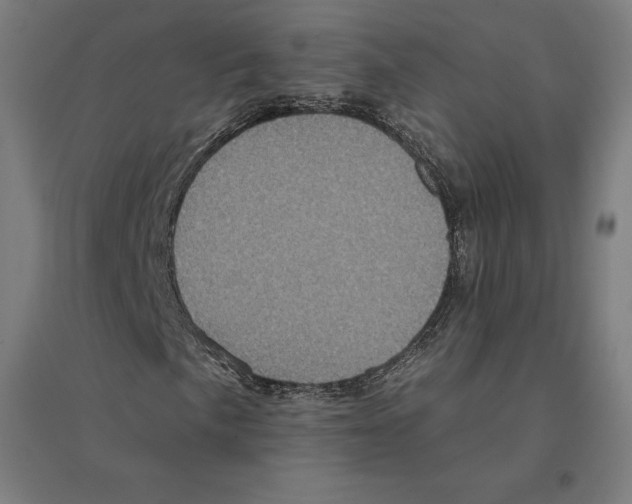 X0000094461057200712061218