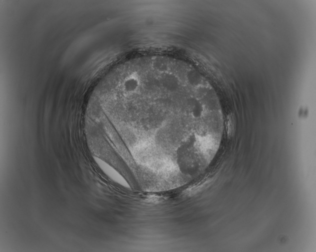 X0000094461059200712061218