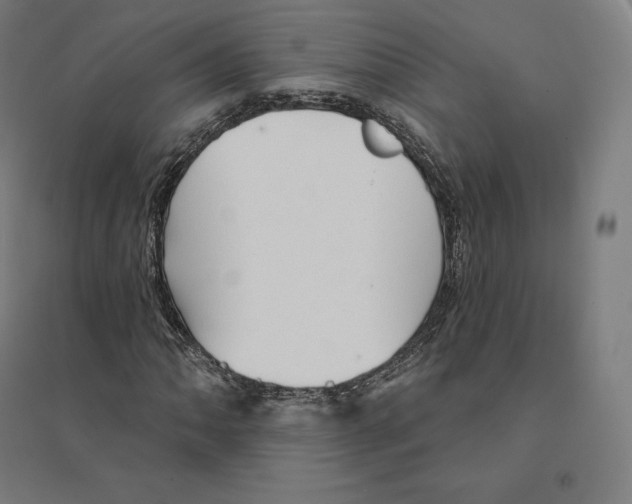 X0000094461062200712061218